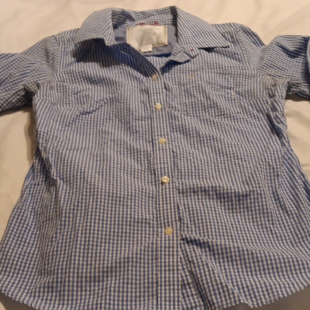 American Eagle Outfitters Blue Checkered Button Down Shirt